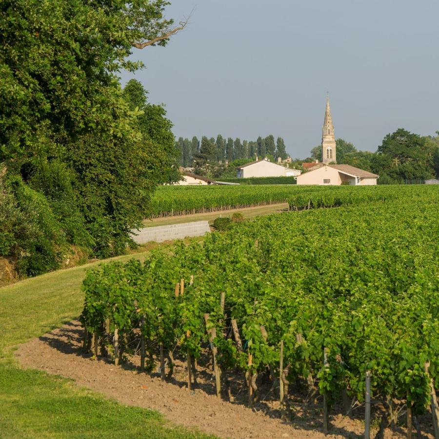 Clos De Bertinat Saint-Sulpice-de-Faleyrens Екстериор снимка